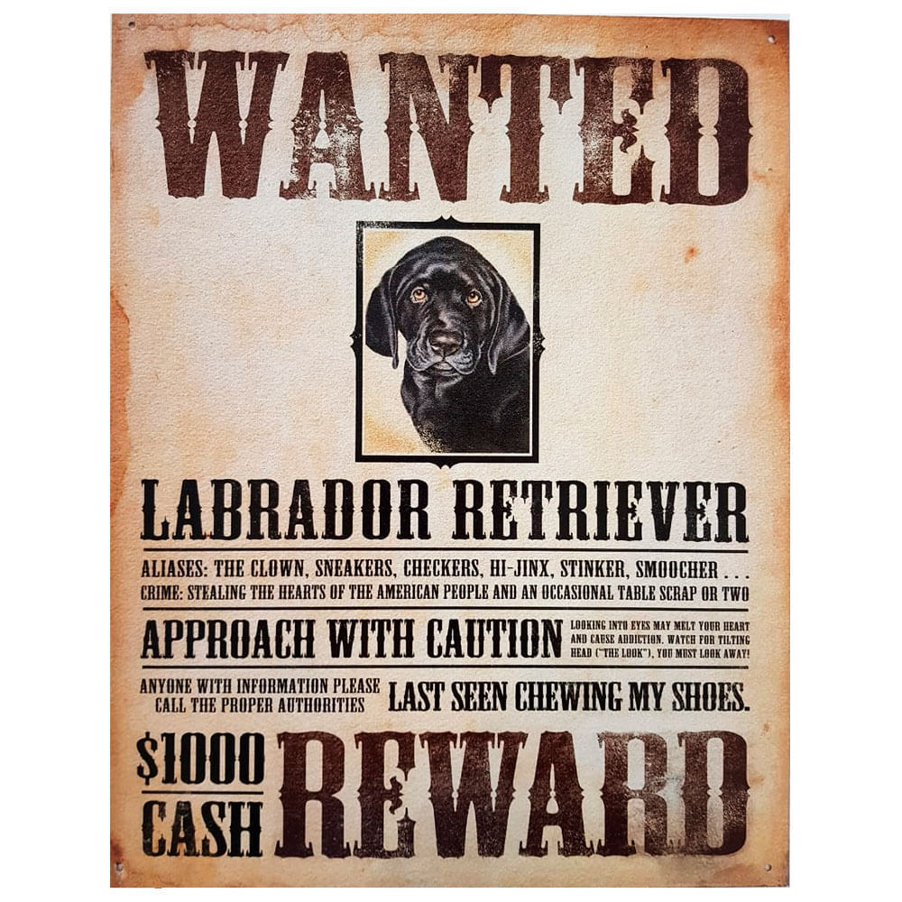 Placa-De-Metal-Procura-se-Labrador