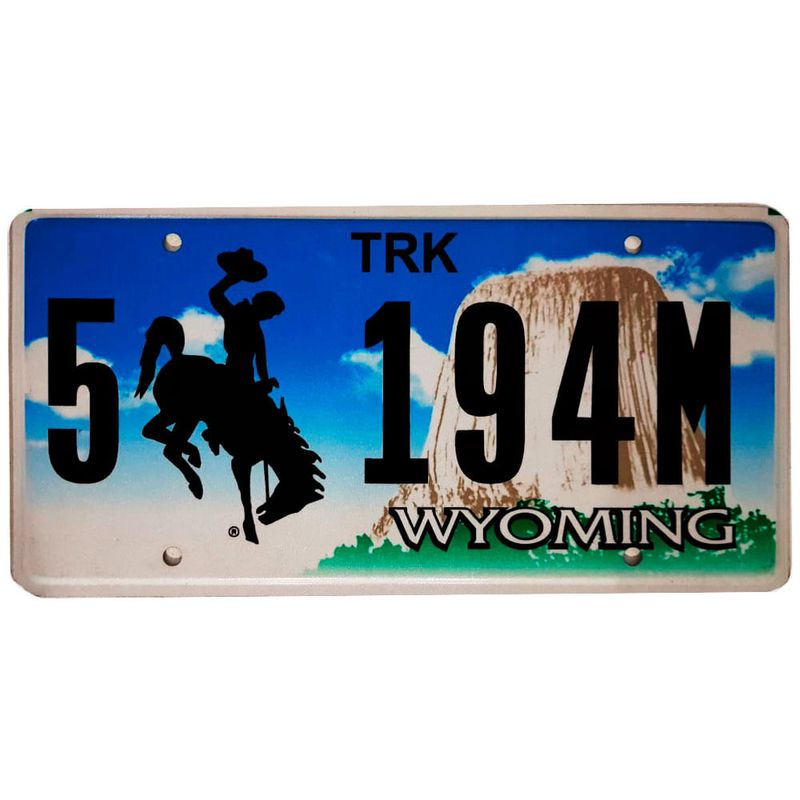 Placa-De-Carro-De-Metal-Importada-5-194m-Wyoming