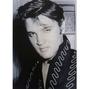 Quadro-Tela-Elvis-Presley-Burning-Love